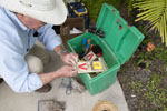 Pest Exterminators for Rodents with Green Pest Control Services in Sarasota and Bradenton, Florida