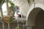 Pest Exterminators for Rodents with Green Pest Control Services in Sarasota and Bradenton, Florida