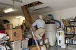 Pest Exterminators for Rodents with Green Pest Control Services in Sarasota and Bradenton, Florida