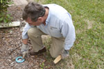 Termite Pest Control is Chemical Free Termite Pest Control for Sarasota to Clearwater, Florida