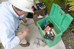 Safe Pest Control Services Prevent Cockroaches and German Cockroaches for Sarasota to Dunedin, FL