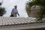 Safe Pest Control Services Prevent Cockroaches and German Cockroaches for Sarasota to Dunedin, FL