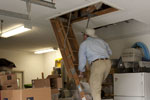 Safe Pest Control Services Prevent Cockroaches and German Cockroaches for Sarasota to Dunedin, FL