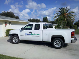 Get Rid of Bed Bugs with Steve's Termite and Pest Control in Sarasota, FL